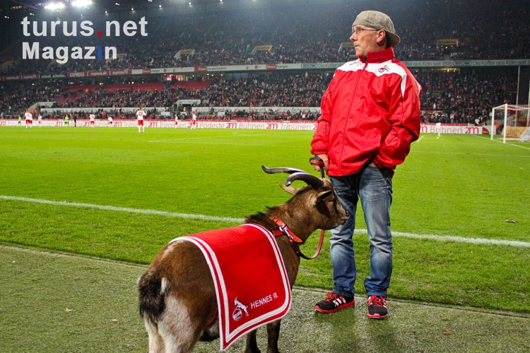 12+ Hennes Fc Köln Bilder Pics