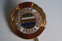 Anstecknadel von Telovychovná Jednota Praha 1893 bis 1963