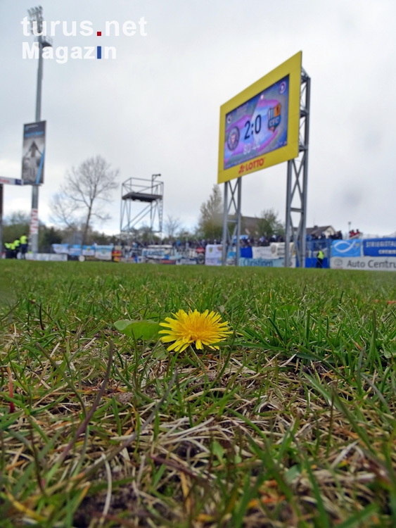 Foto: Holstein Kiel vs. Chemnitzer FC - Bilder von ...