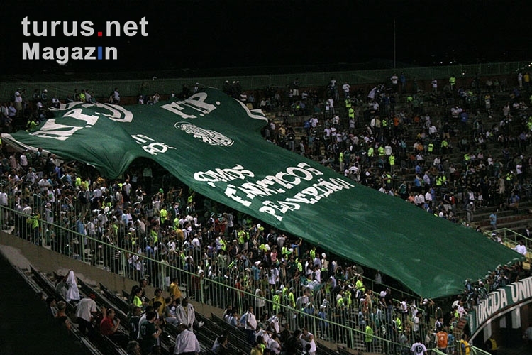 Palmeiras