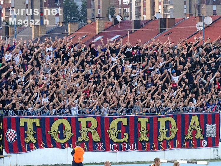 Torcida