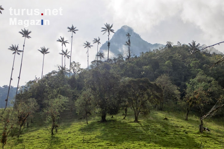 Foto Landschaft In Kolumbien Bilder Von Kolumbien Turus Net Magazin