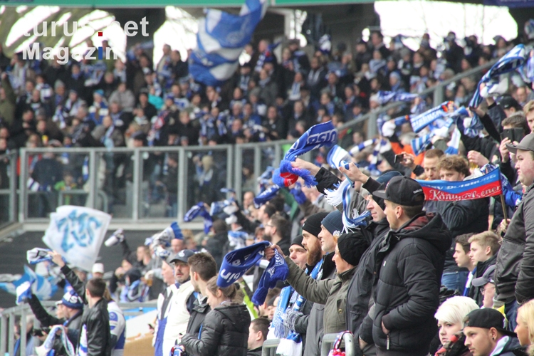 Foto: Fans MSV Duisburg - Bilder von MSV Duisburg - turus ...