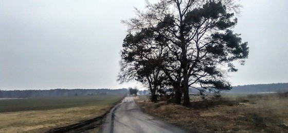 Sibirischer Hauch: Eine Wanderung zur Lesung im Landgasthof Niegisch