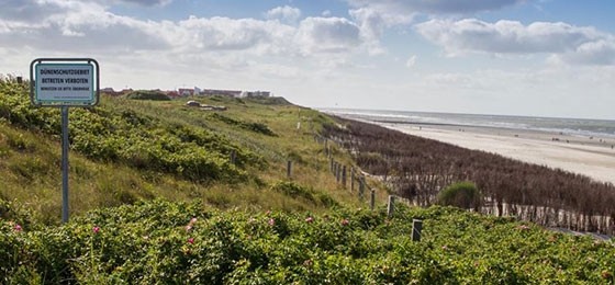 Wangerooge Infos und Tipps